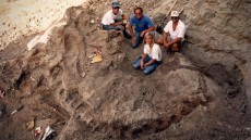 Dinosaur 13 Image 1