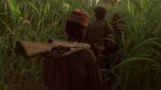 Concerning Violence Image 3