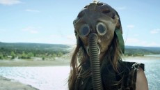 Survivor Image 2