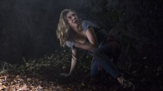 The Forest Image 3