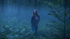 The Forest Image 1