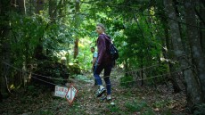 The Forest Image 4