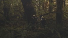 Prospect Image 2