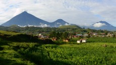 Virunga Image 1