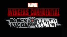 Avengers Confidential: Black Widow & Punisher Image 1