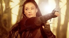 The Assassin Image 3