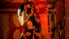 The Assassin Image 2