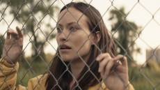 Meadowland Image 1