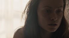 Meadowland Image 2