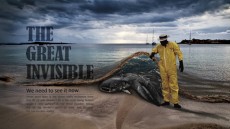 The Great Invisible Image 1