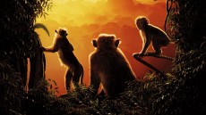 Monkey Kingdom Image 2