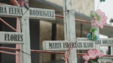 Kingdom of Shadows Image 1