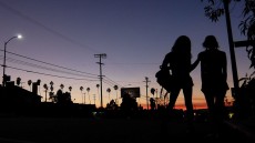 Tangerine Image 1