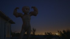 Felt Image 1