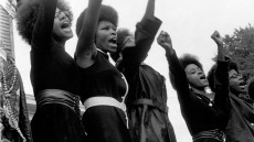 The Black Panthers: Vanguard of the Revolution Image 2