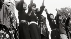 The Black Panthers: Vanguard of the Revolution Image 4