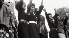 The Black Panthers: Vanguard of the Revolution Image 3