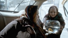 Taxi Image 4