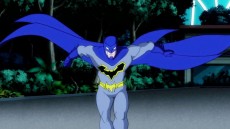 Batman Unlimited: Animal Instincts Image 2