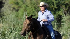 Wild Horses Image 1