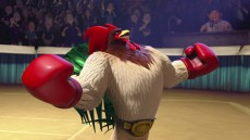 Un gallo con muchos huevos Image 3